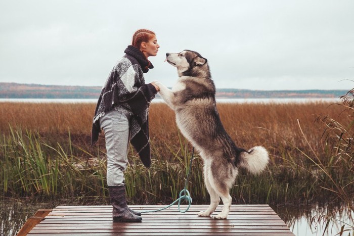 犬と女性