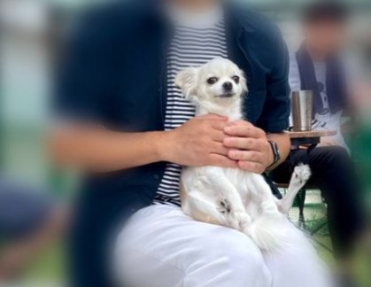 この人は