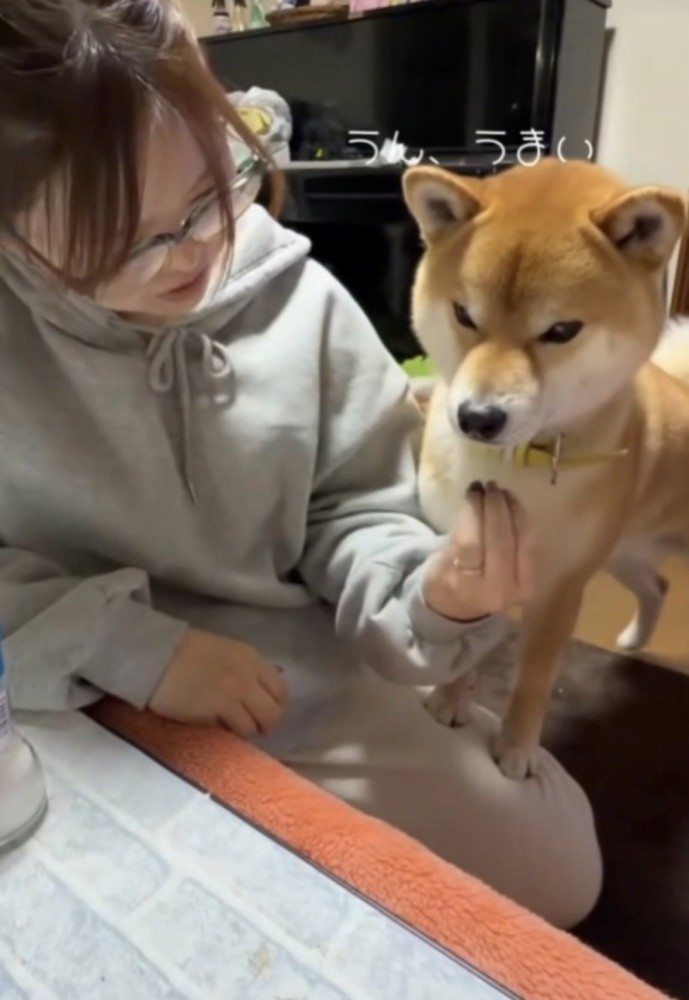 おいしそうな表情の犬