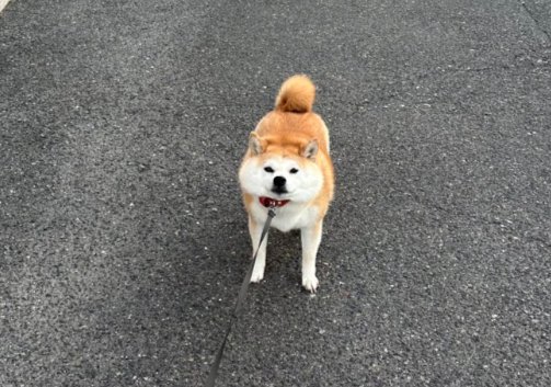 お餅