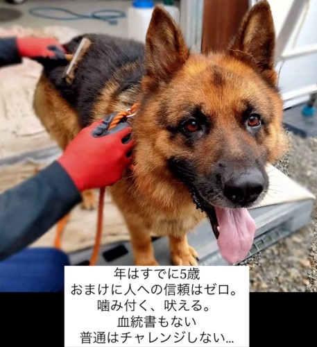 笑顔のジローちゃん
