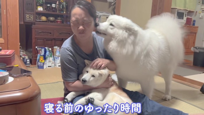 不安そうに鳴くことも…