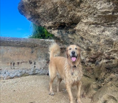 海が似合う