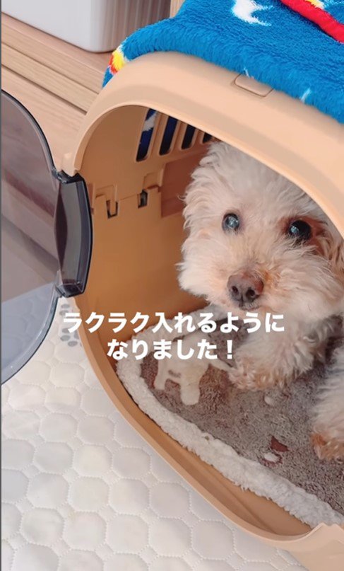 すいーぶ君の成長と変化6