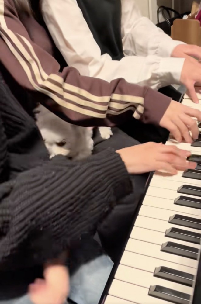 いつもは仲良しなのに