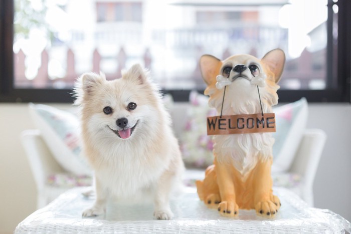 ポメラニアンと犬の置物