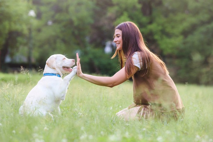 芝生の上でハイタッチする女性と犬