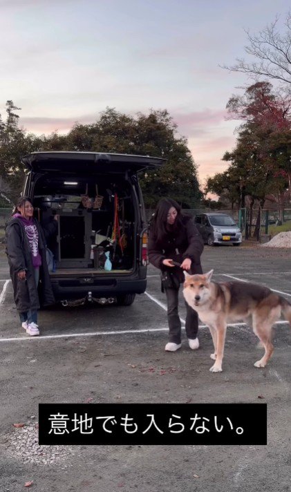 絶対に帰りたくない