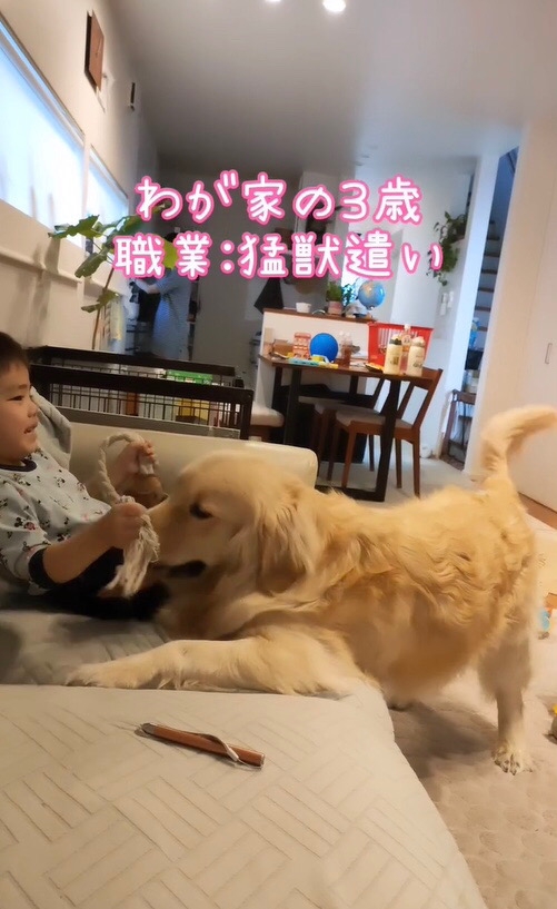 一緒に遊ぶ男の子と大型犬