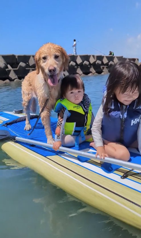 海の上に浮かぶボードに乗っている犬と子ども2人