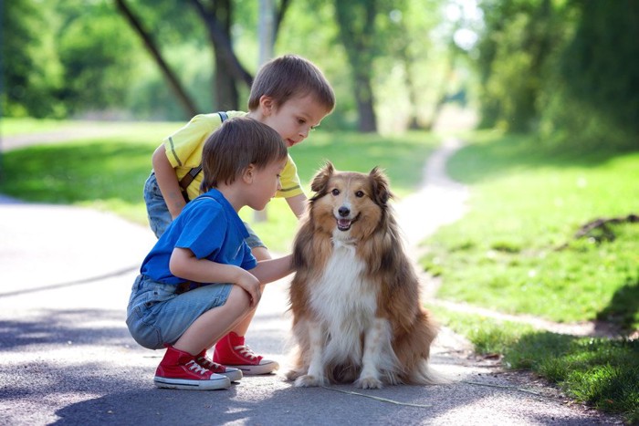 犬に触れる二人の男の子