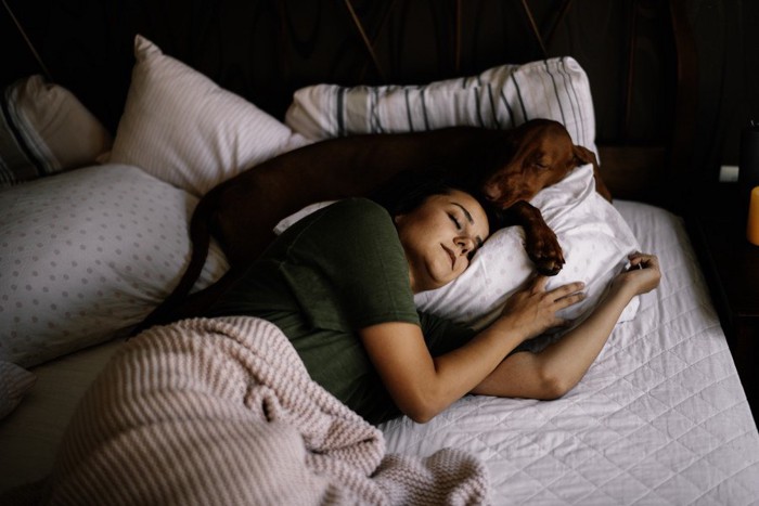 飼い主の頭上で眠る犬