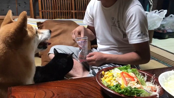 仲良くおやつタイム♪