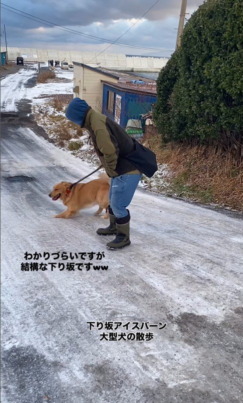 凍った坂を下るじろ君と飼い主さん4