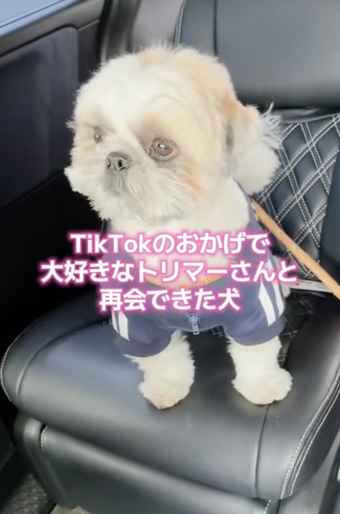 奇跡の再会です