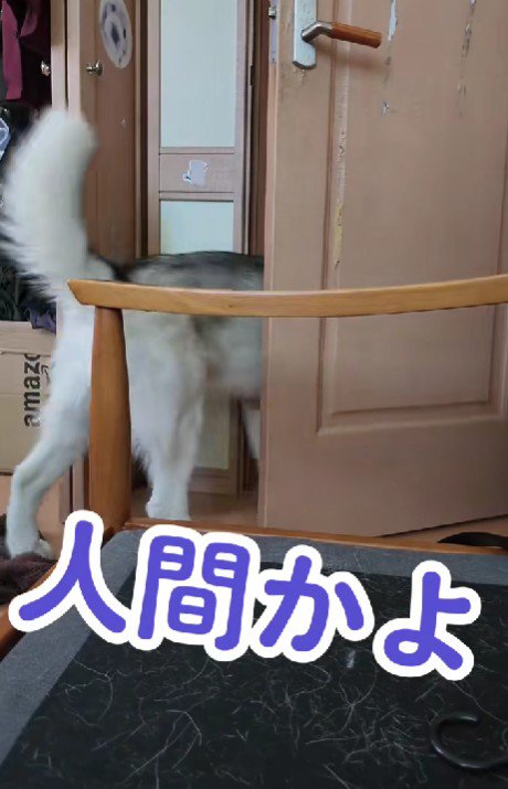まるで人間！？