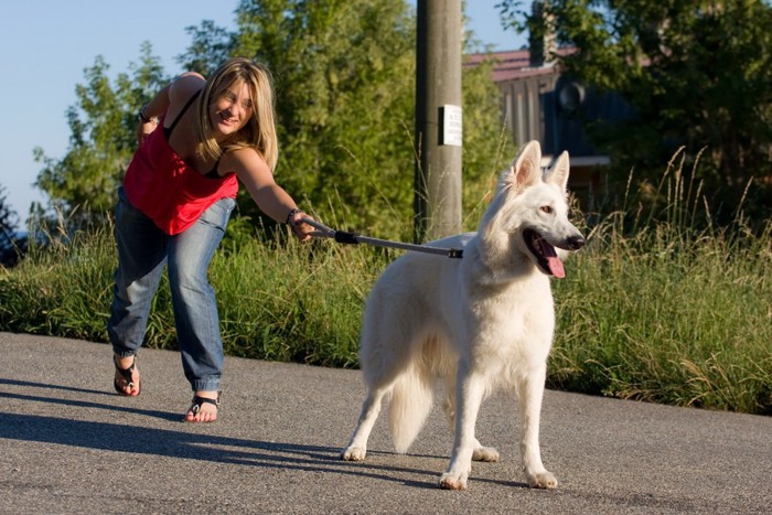 犬に引っ張られる女性