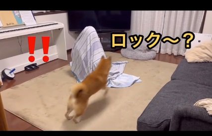 名前を呼ぶマリちゃん
