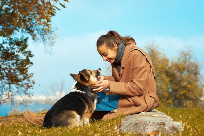 見つめ合う犬と女性