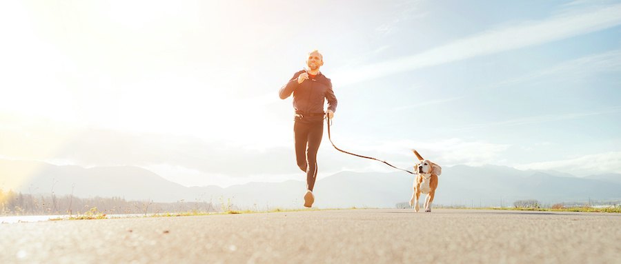 犬と一緒にランニングをする男性