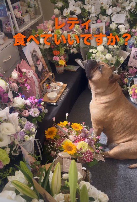 ママに確認してる…?