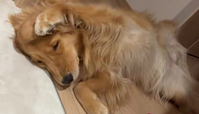 頭の後ろの方へと伸ばし…