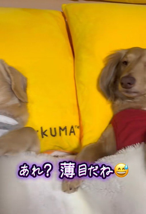 隣にいるらいらちゃんは…？