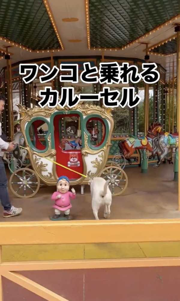 ソワソワ…