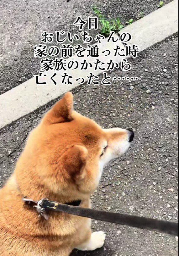 突然のお知らせ