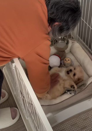 幸せ確定だね！！