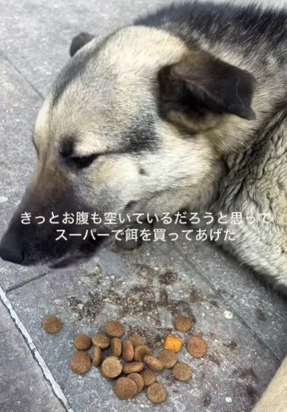 足を怪我していた…