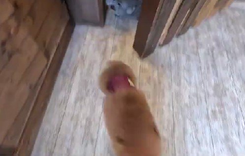 お迎えに行ったら…