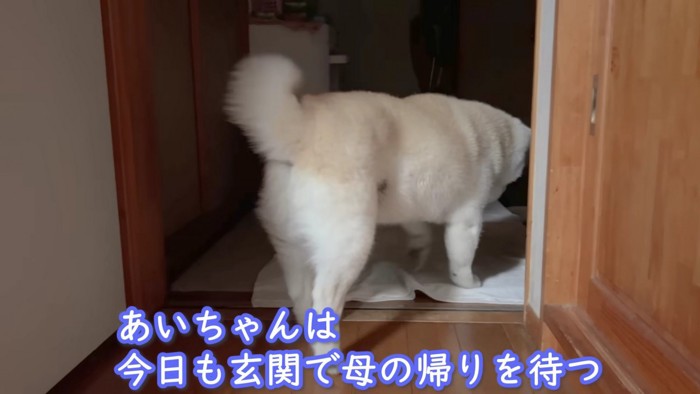 今夜も玄関でお母さんを待つ