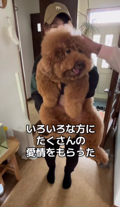 とっても人懐こいわんこに♪