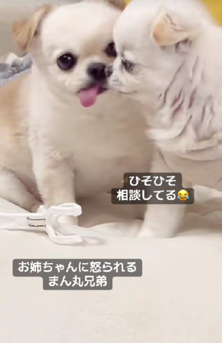 「え！そうなの？」