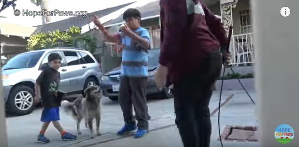 少年のそばでリラックスする犬