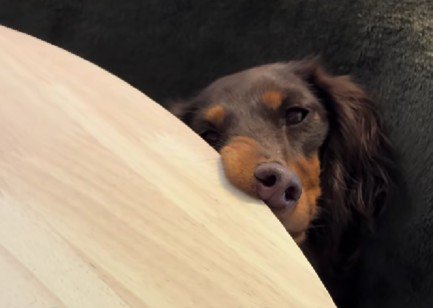 恨めしそうな表情に…！