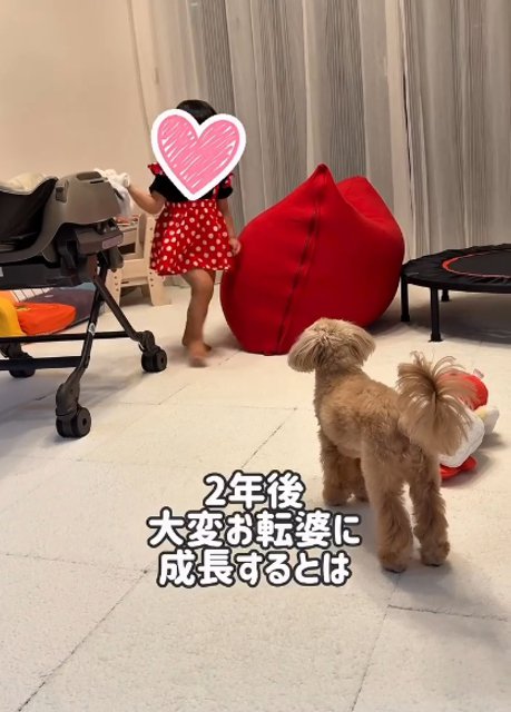 赤ちゃんと絵本を見る犬