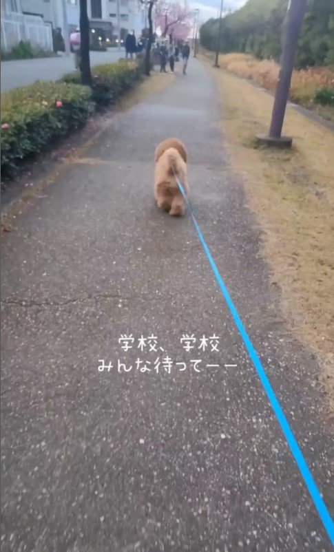 小学生に遭遇したぷぅ太郎