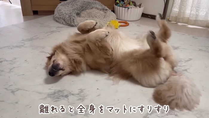 背中が痒くても…