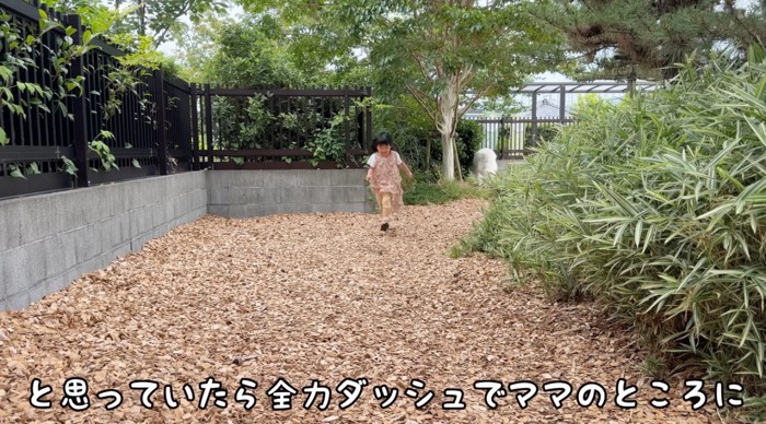 女性に向かって駆けてくる女の子