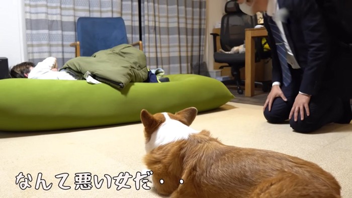 がっくりする男性と犬