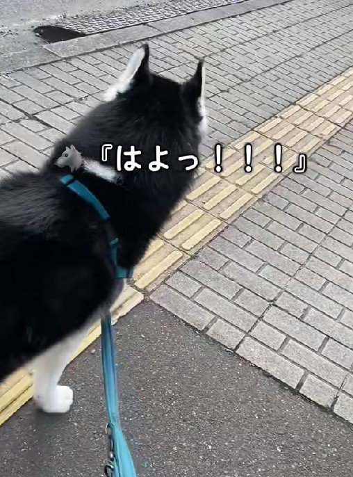 「はよ！！」