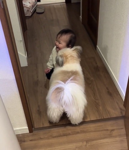 床に座る赤ちゃんのそばにいる犬