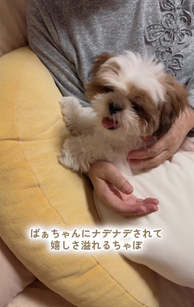 おばあちゃんの腕の中に収まる