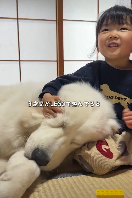 遊ぶ女の子に寄り添う