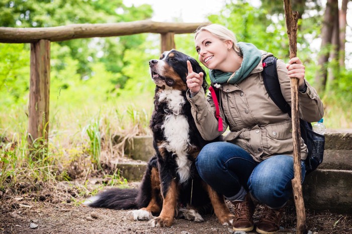 犬と女性