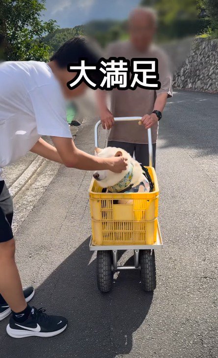 みんなのナデナデを堪能