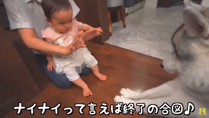 おやつはおしまいのもんちゃん