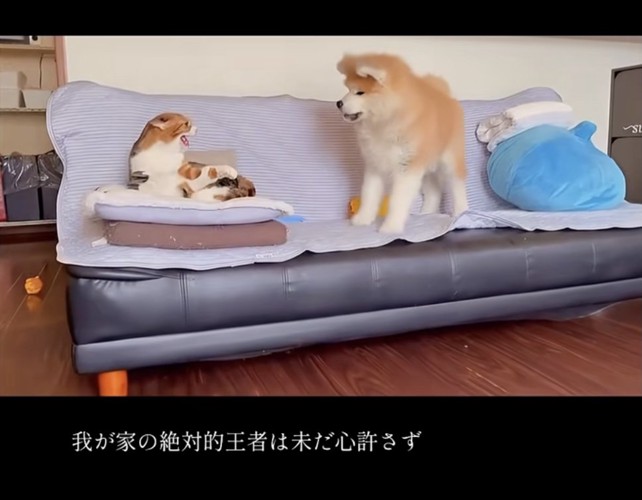 引き続きブチギレ！！